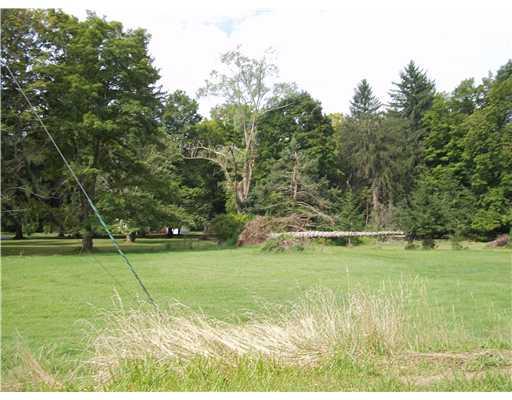 235 Giesey Road Ligonier, PA 15658 - Photo 4 of 6 Land/Lot. Discover Nature, surrounded by tall trees.