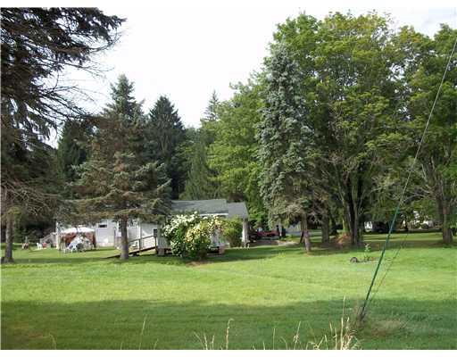 235 Giesey Road Ligonier, PA 15658 - Photo 6 of 6 Yard/Garden. Lots of room to roam.