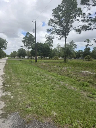 a view of a field with an trees