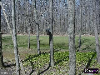 140 Autumn Hill Road Princeton, NJ 08540 - Photo 6 of 6 Gallery Image 6