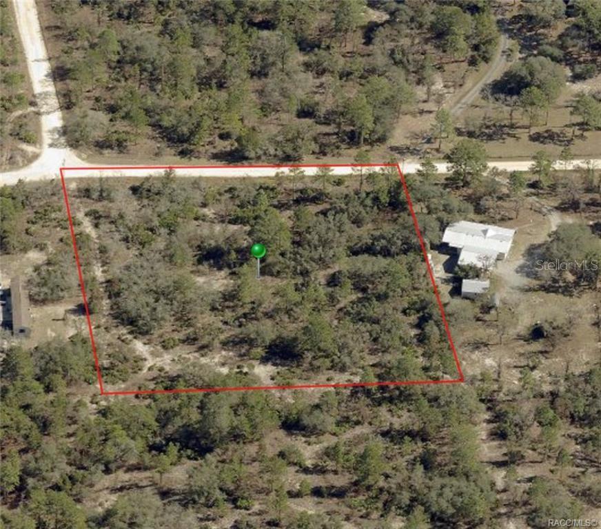 6726 North Ewok Point Dunnellon, FL 34433 - Photo 1 of 1 a view of a dry yard