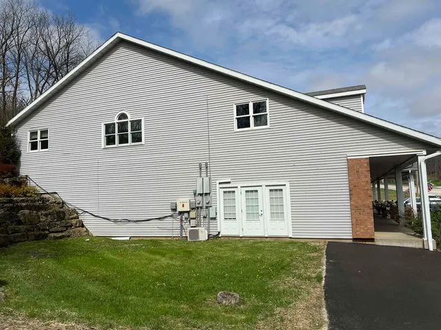 a view of a backyard with plants and large tree