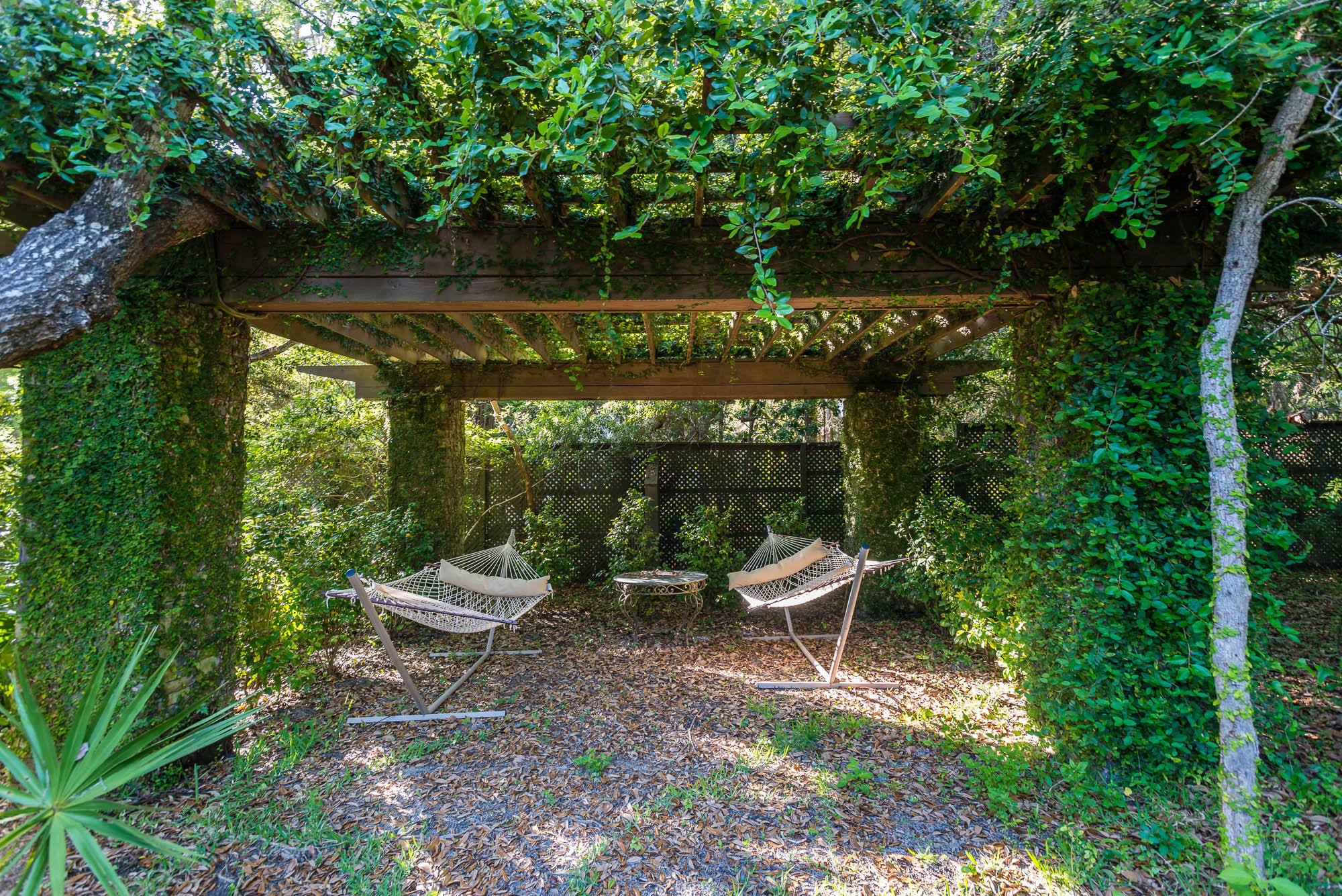 279 Grayton Trail Road Santa Rosa Beach, FL 32459 - Photo 50 of 55 a view of a wooden bench in backyard of the house