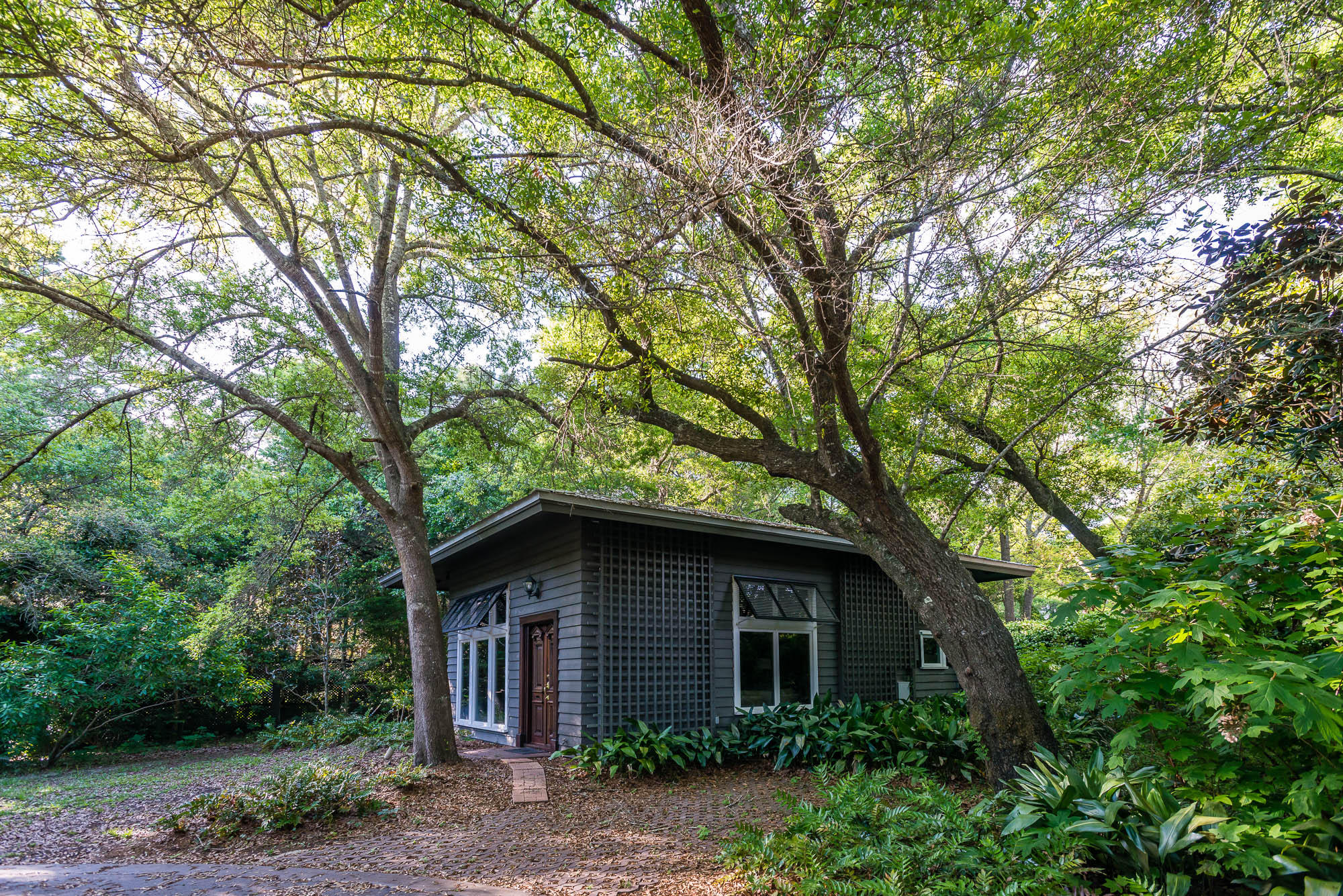 279 Grayton Trail Road Santa Rosa Beach, FL 32459 - Photo 51 of 55 a view of a house with a tree in front of it
