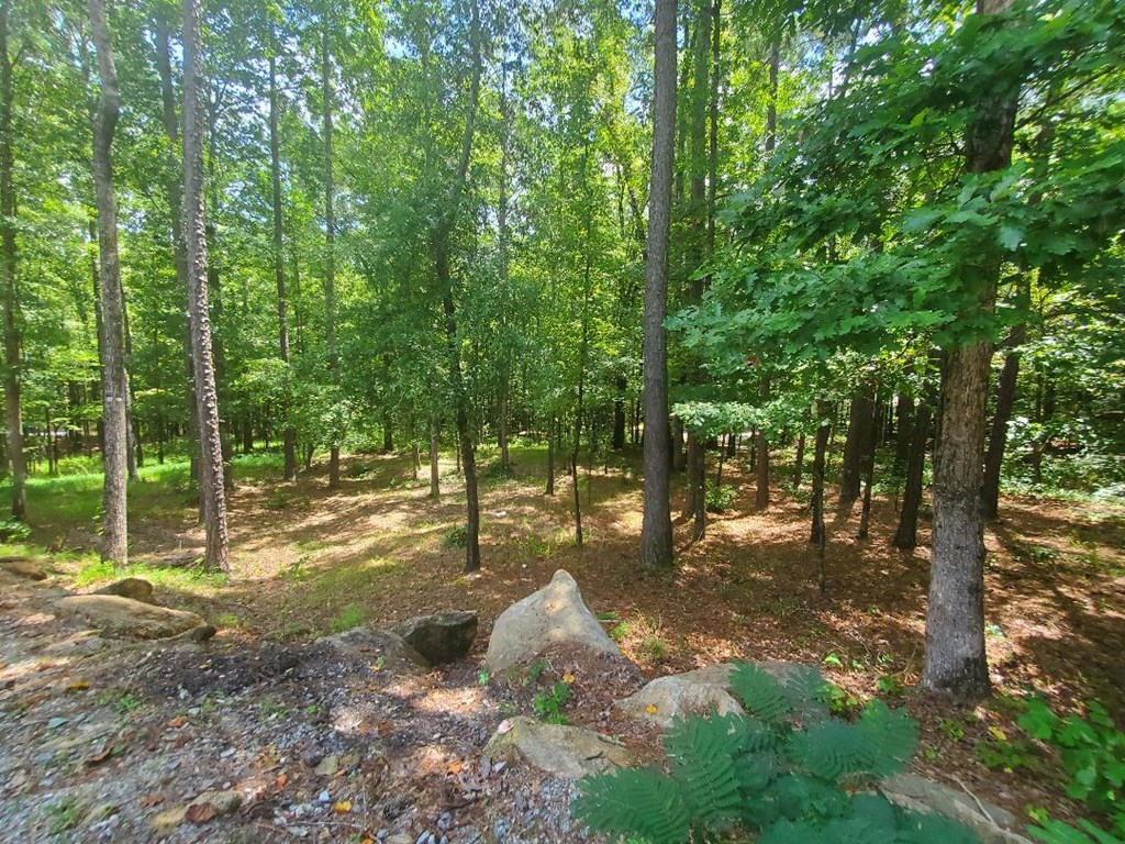 1930 Smith Road Fortson, GA 31808 - Photo 60 of 62 Front View