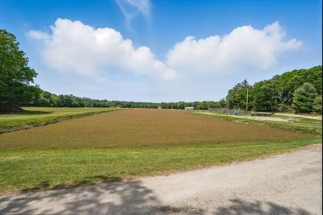 a view of a lake from a yard