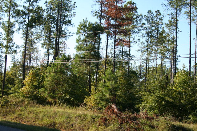 9 Randall Road Dearing, GA 30808 - Photo 1 of 1 Main View