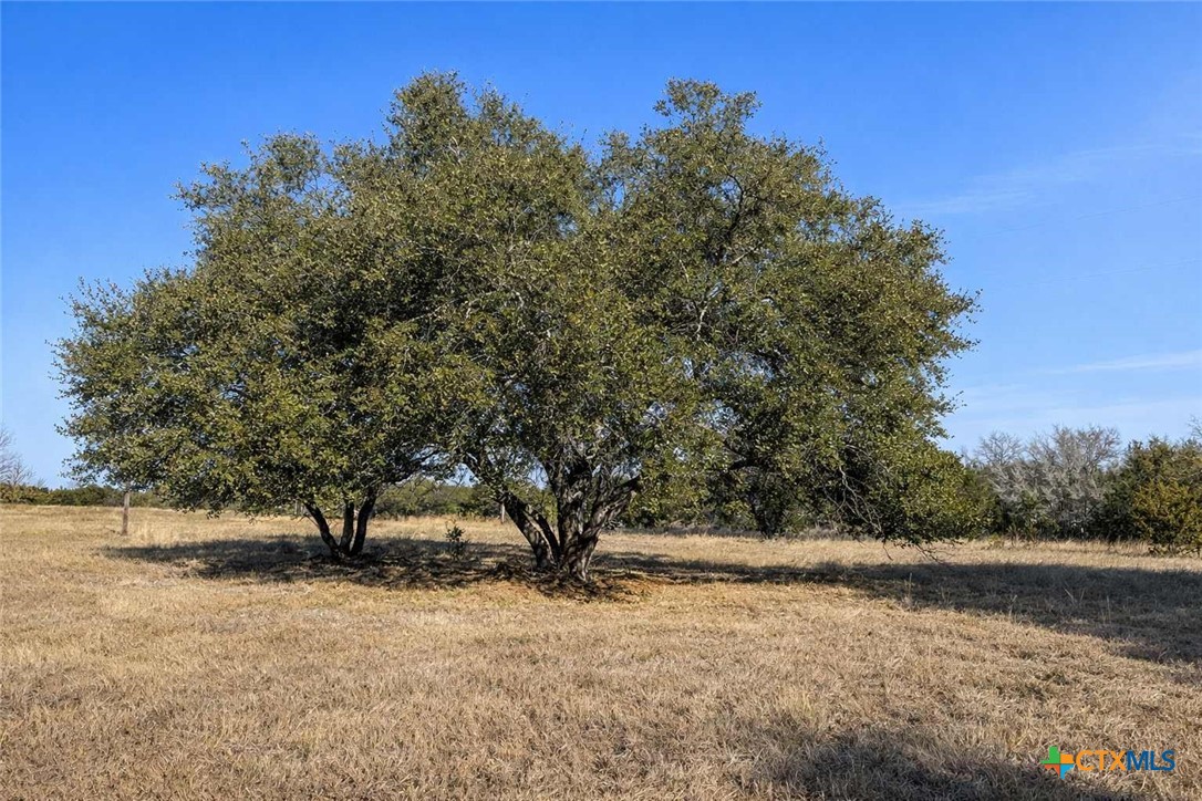 705 Indian Hills Road Gatesville, TX 76528 - Photo 41 of 43