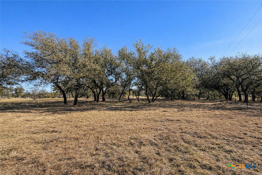 705 Indian Hills Road Gatesville, TX 76528 - Photo 43 of 43 a view of a yard with a tree