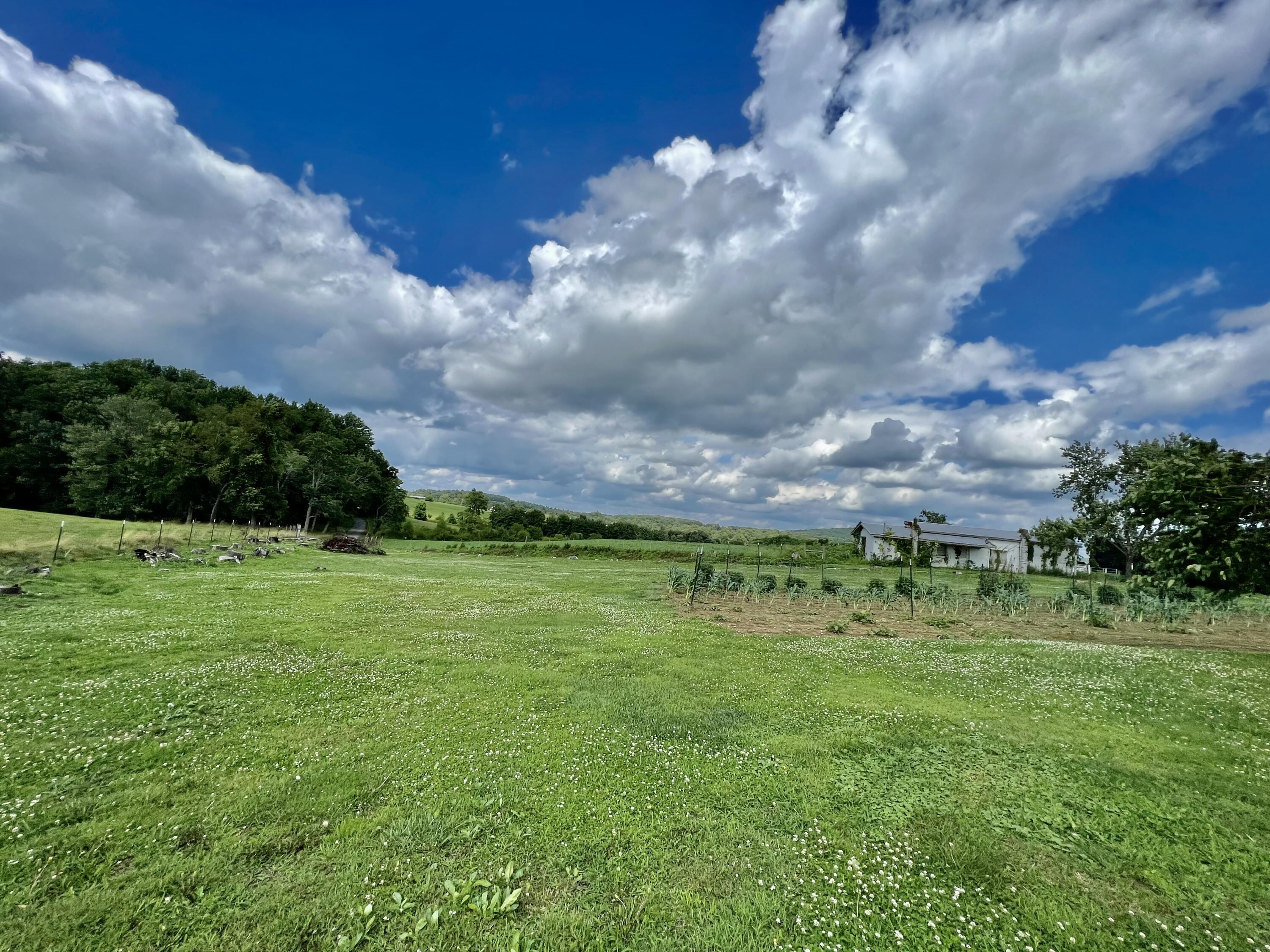 445 Todd Road Brodhead, KY 40409 - Photo 18 of 54 4A049210-19FF-44FE-A535-6FE6C80A8F43