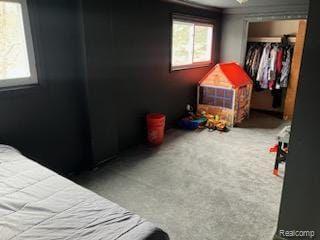 9225 Burt Road Detroit, MI 48228 - Photo 9 of 11 Gallery Image 9