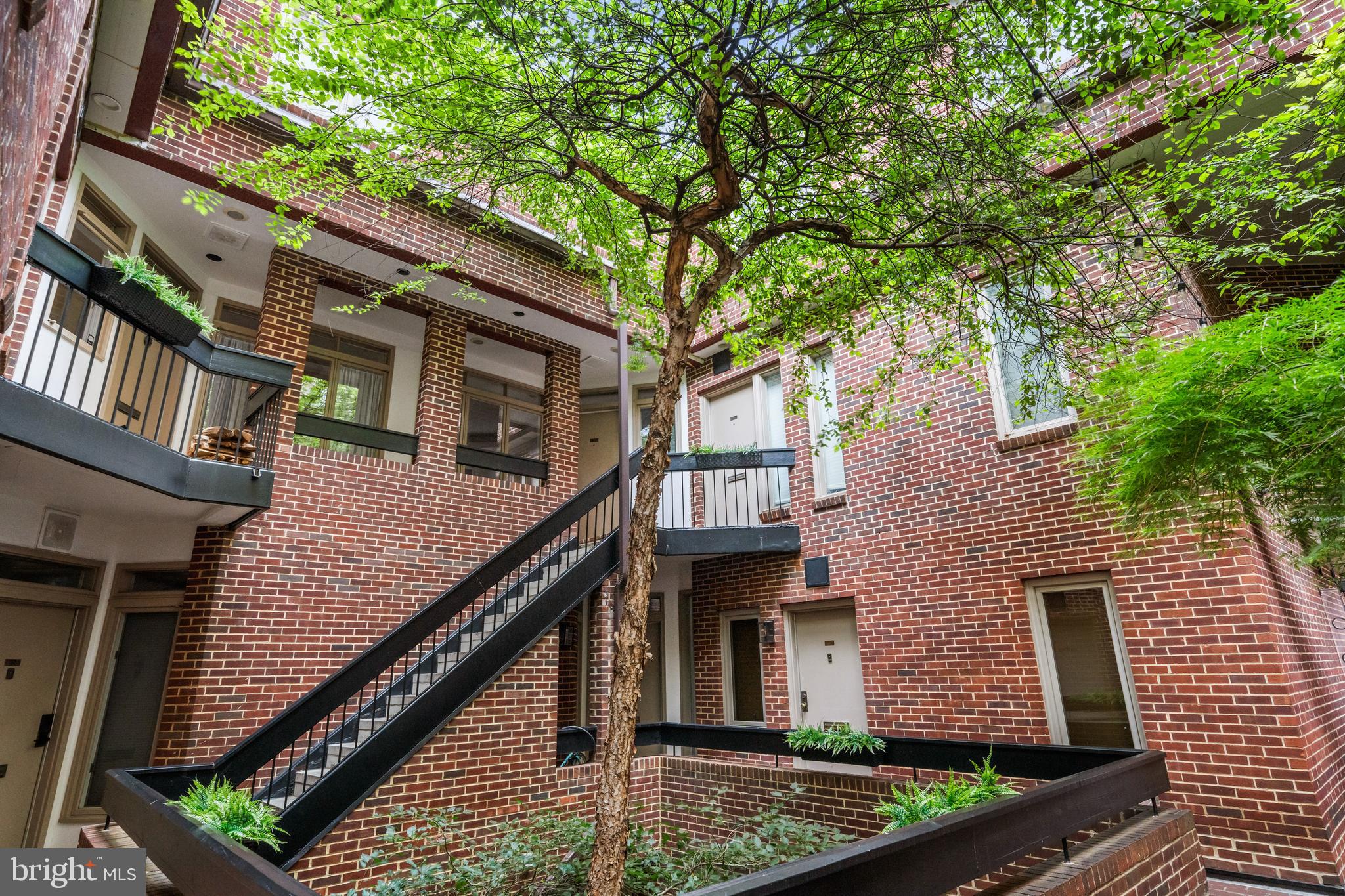 1625 Q Street Northwest, Unit 203 Washington, DC 20009 - Photo 32 of 33 a front view of a house with a tree