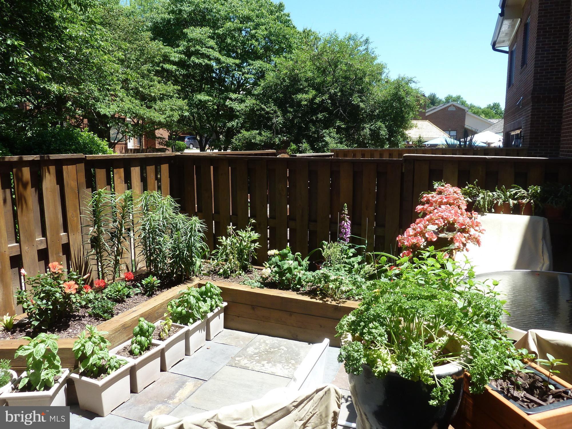 1445 Hampton Hill Circle McLean, VA 22101 - Photo 12 of 36 a garden with flowers and wooden fence