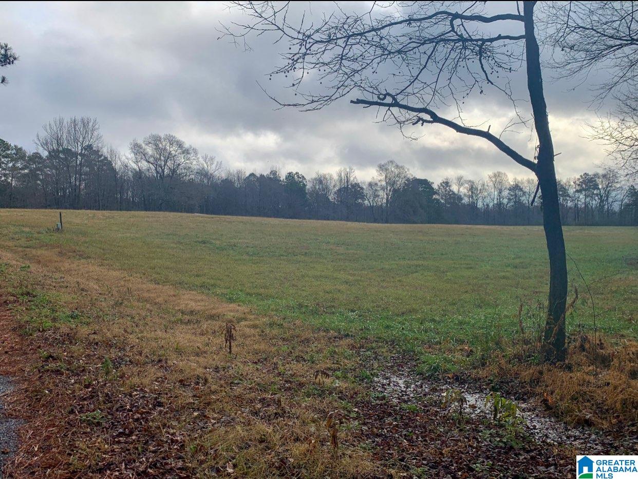 0 Souls Chapel Road, Unit 1 Oneonta, AL 35121 - Photo 5 of 6