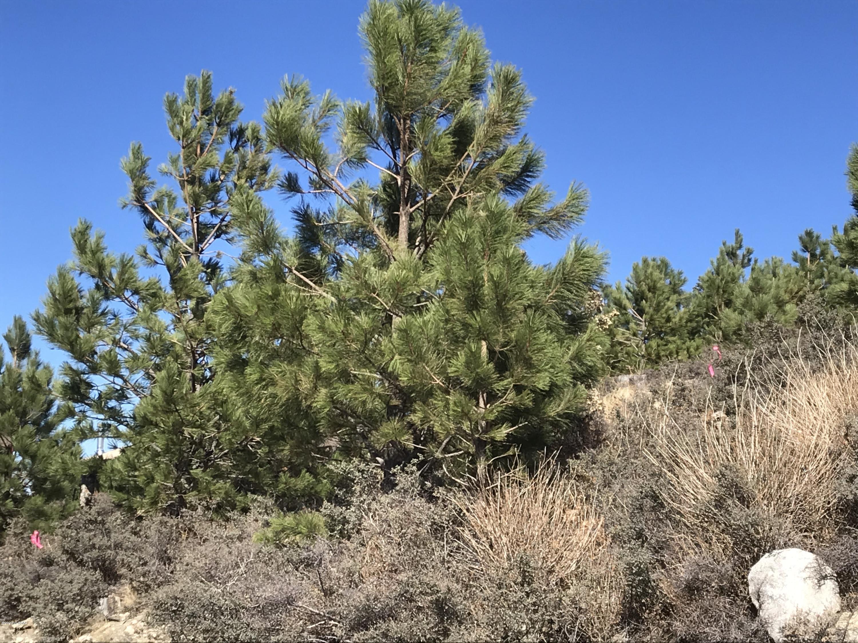 12986 Yuma Road, Unit 4 5 Mount Lemmon, AZ 85619 - Photo 7 of 11