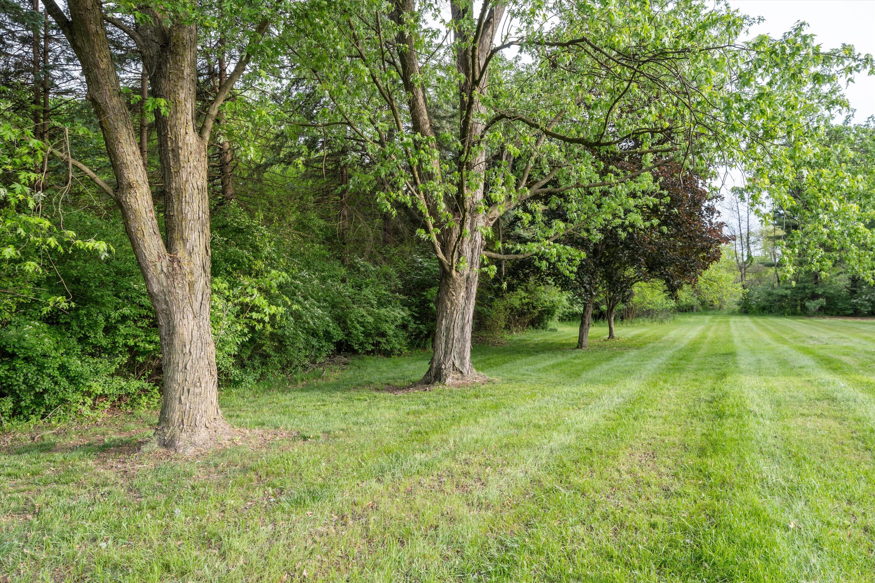 0 Jewell Road Milan, MI 48160 - Photo 54 of 63 54-DSC02349