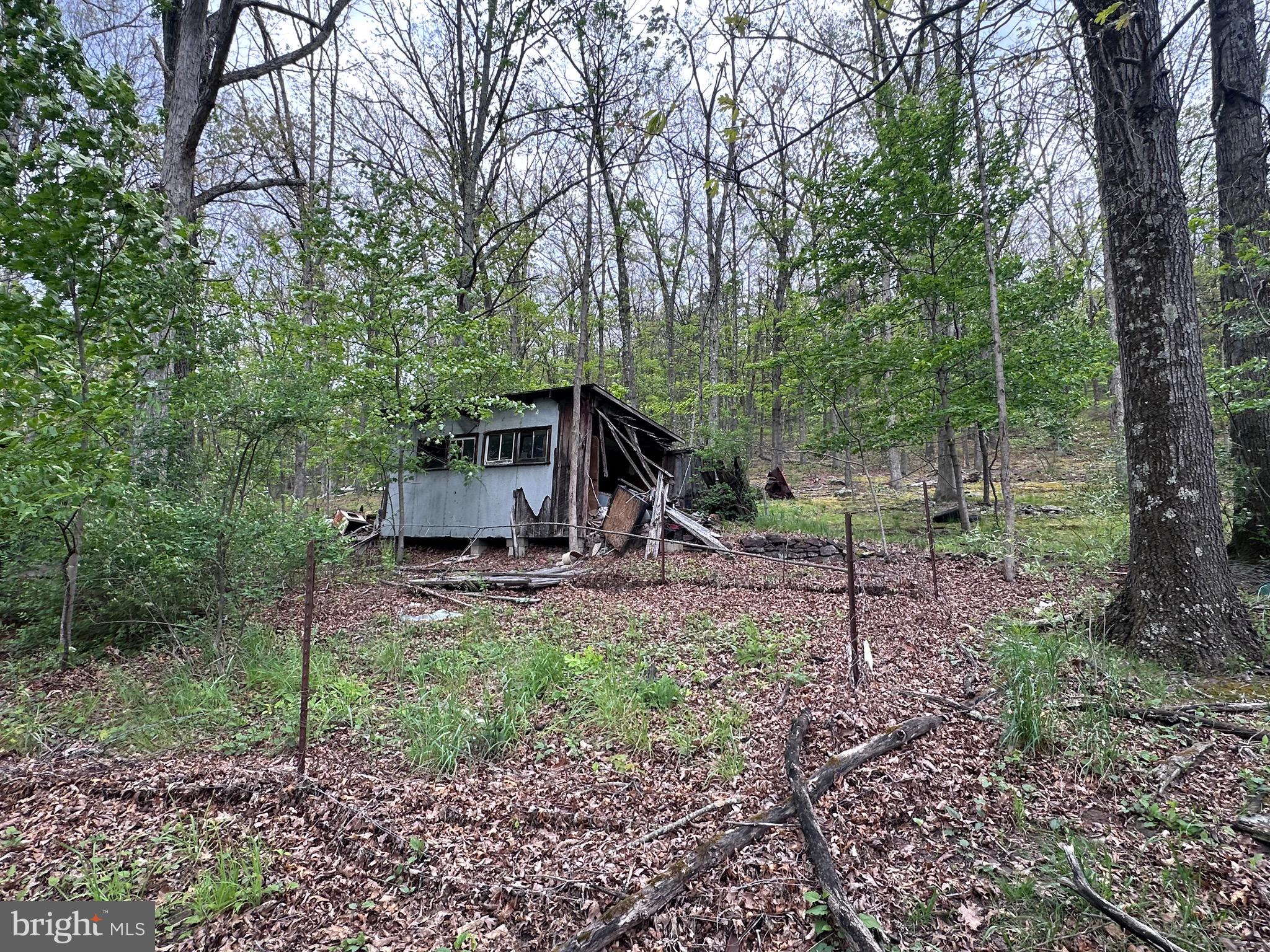 0 Cut Off Road Keyser, WV 26726 - Photo 7 of 11 Gallery Image 7
