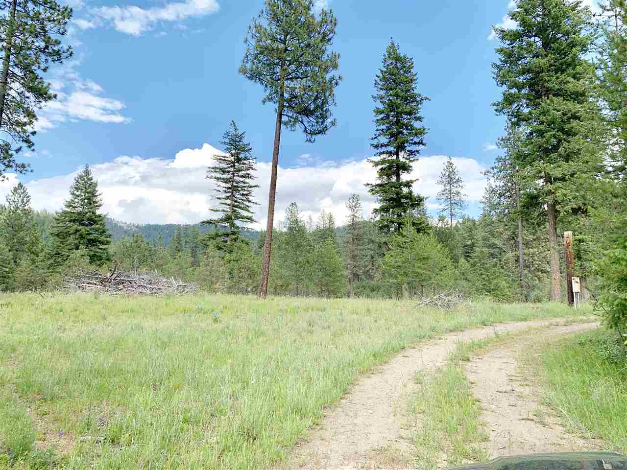 3651 Solokar Road Loon Lake, WA 99148 - Photo 11 of 11