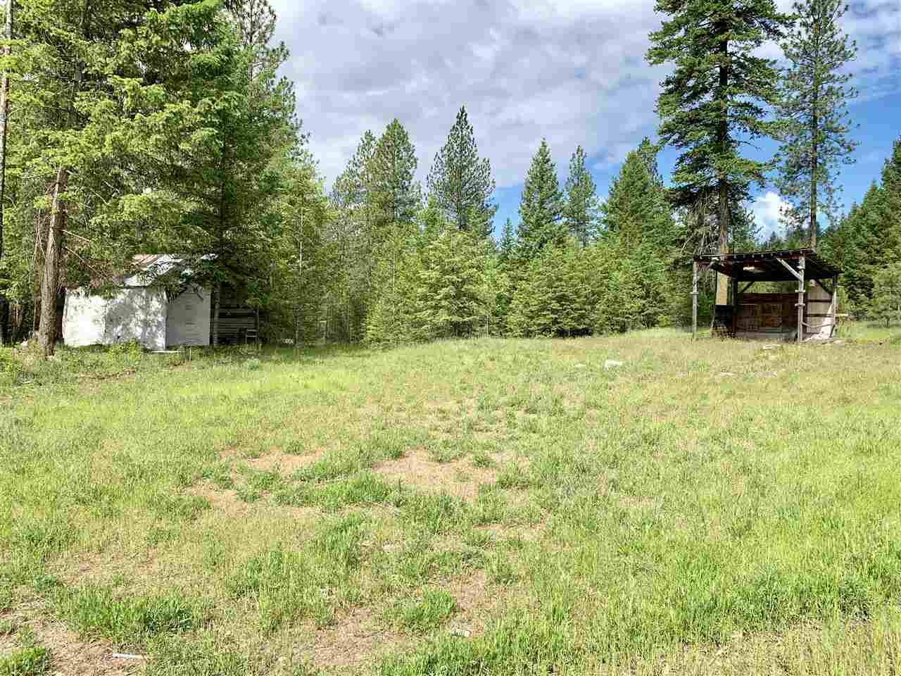 3651 Solokar Road Loon Lake, WA 99148 - Photo 8 of 11