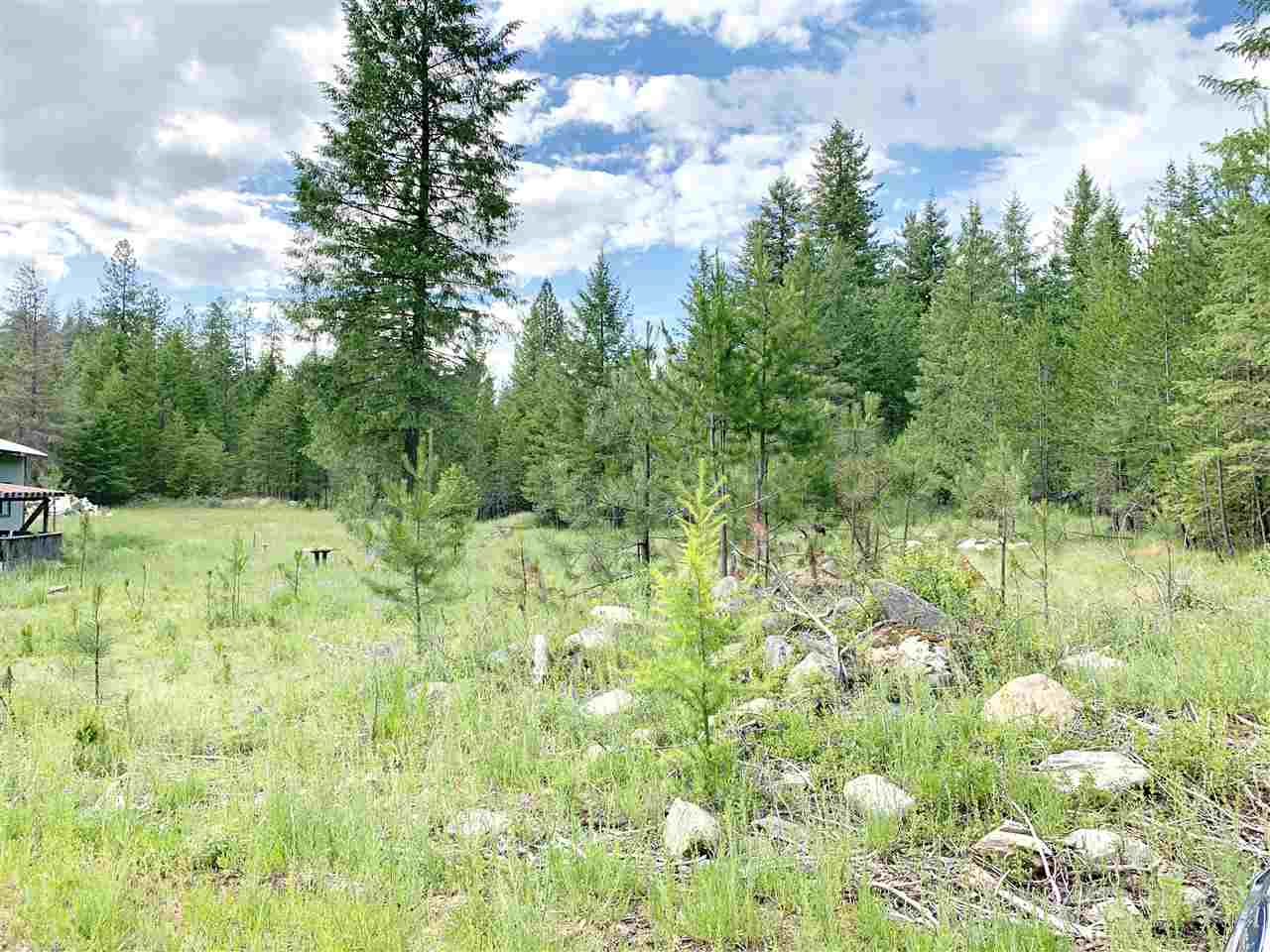 3651 Solokar Road Loon Lake, WA 99148 - Photo 9 of 11