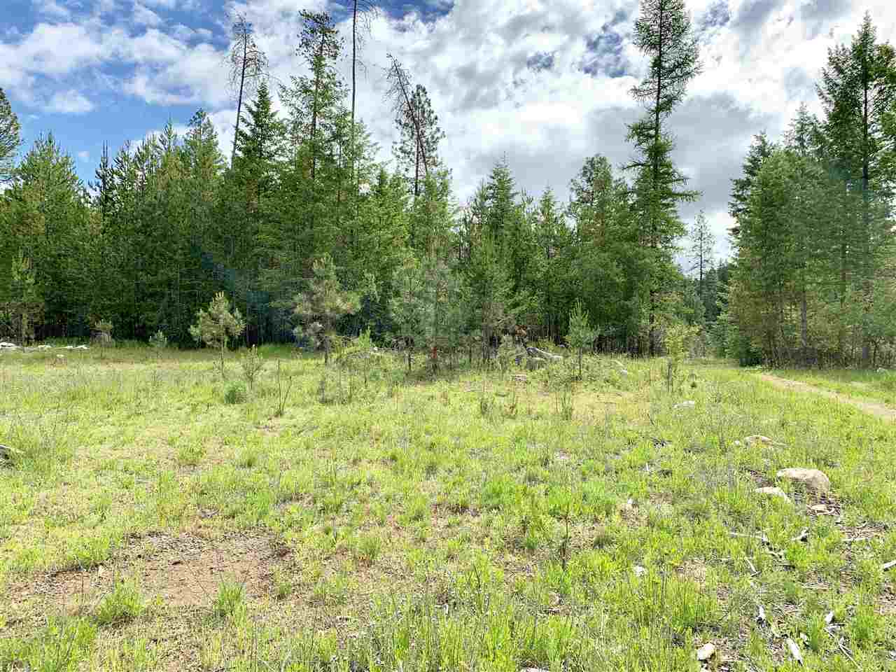 3651 Solokar Road Loon Lake, WA 99148 - Photo 10 of 11