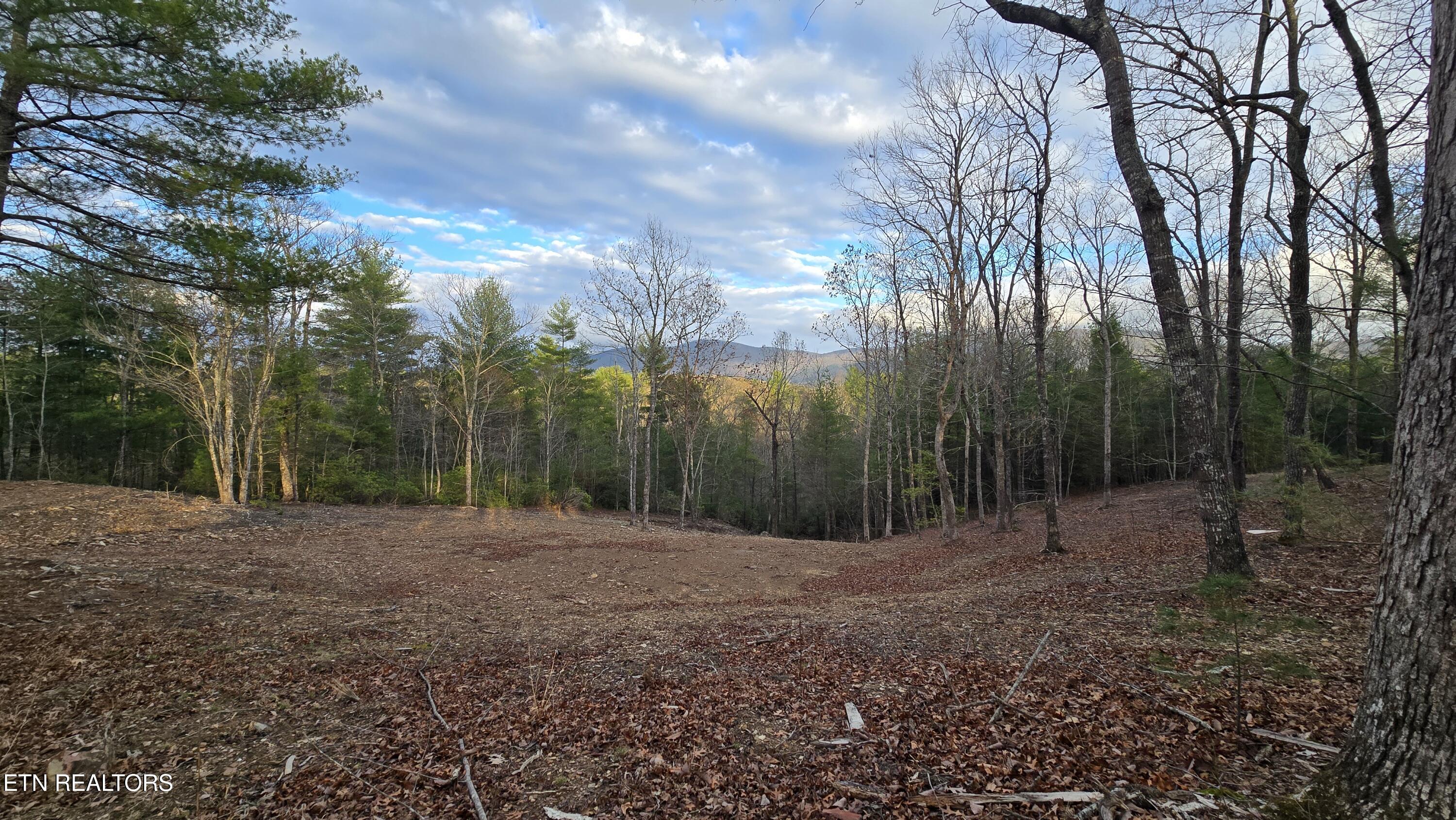 Mcjunkin Road Tellico Plains, TN 37385 - Photo 12 of 23 20260310_185214