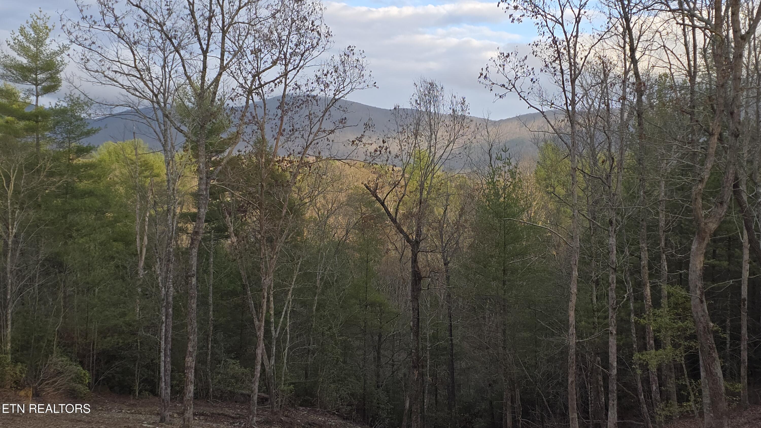 Mcjunkin Road Tellico Plains, TN 37385 - Photo 13 of 23 20260310_185219
