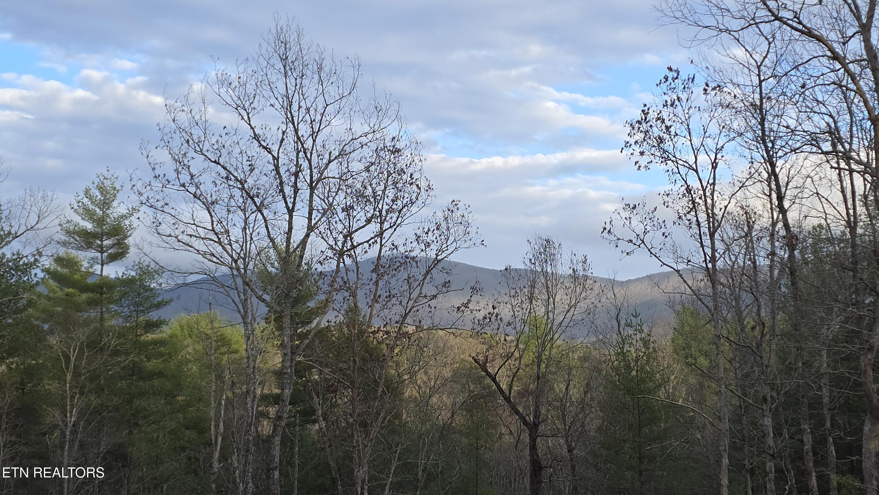 Mcjunkin Road Tellico Plains, TN 37385 - Photo 14 of 23 20260310_185226