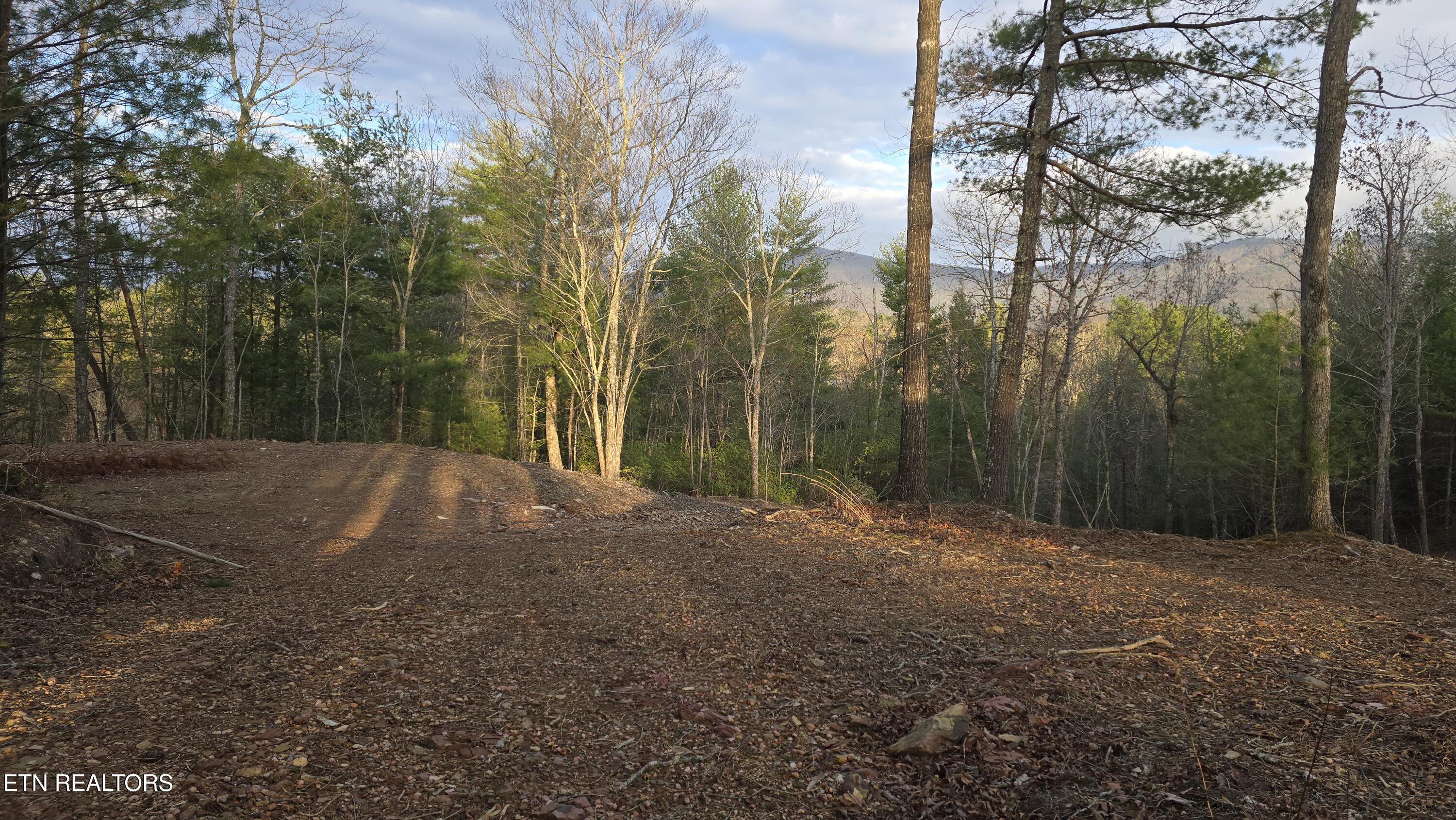 Mcjunkin Road Tellico Plains, TN 37385 - Photo 22 of 23 20260310_185446