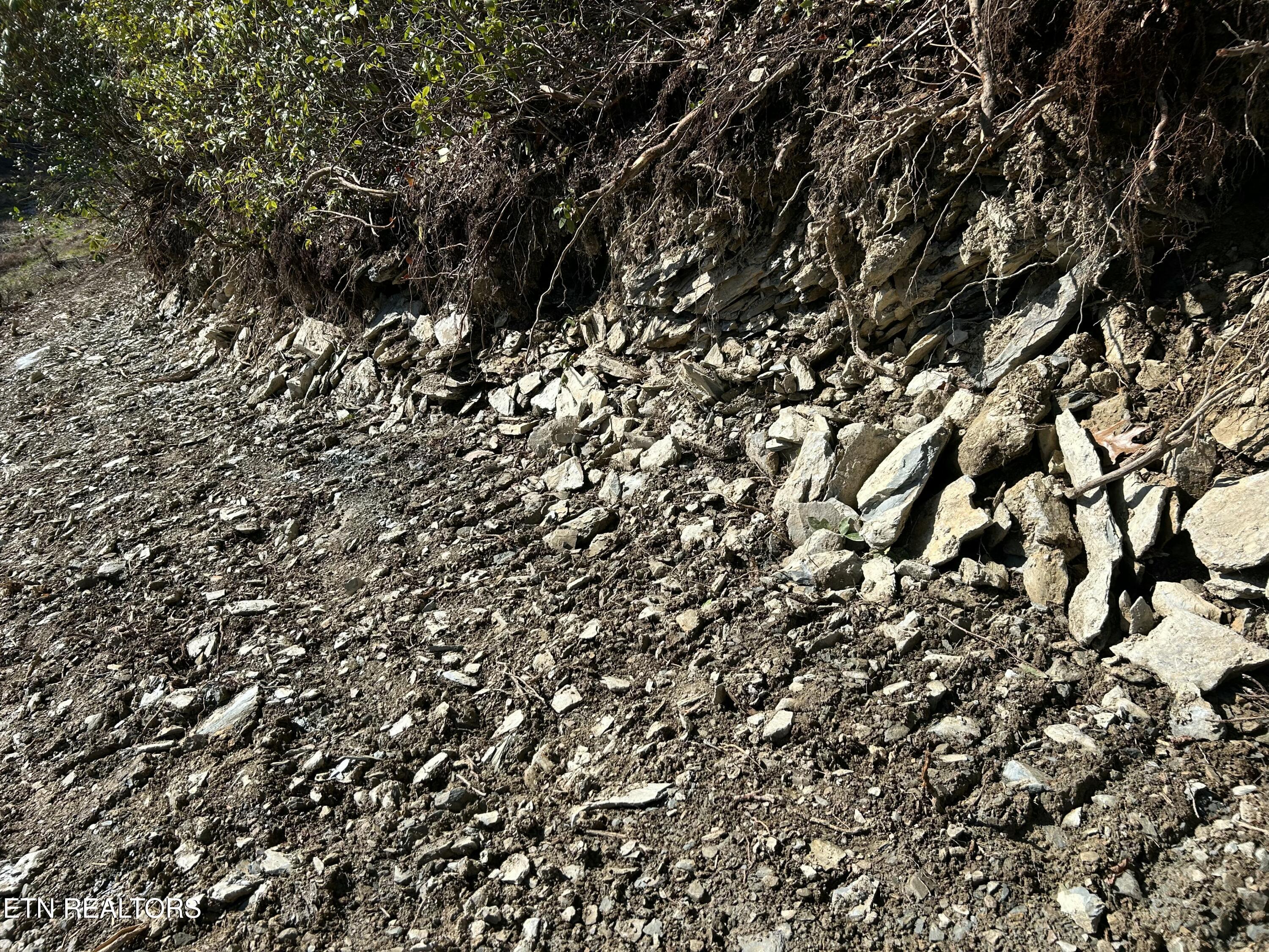 Mcjunkin Road Tellico Plains, TN 37385 - Photo 5 of 23 IMG_20260306_112452 (4)