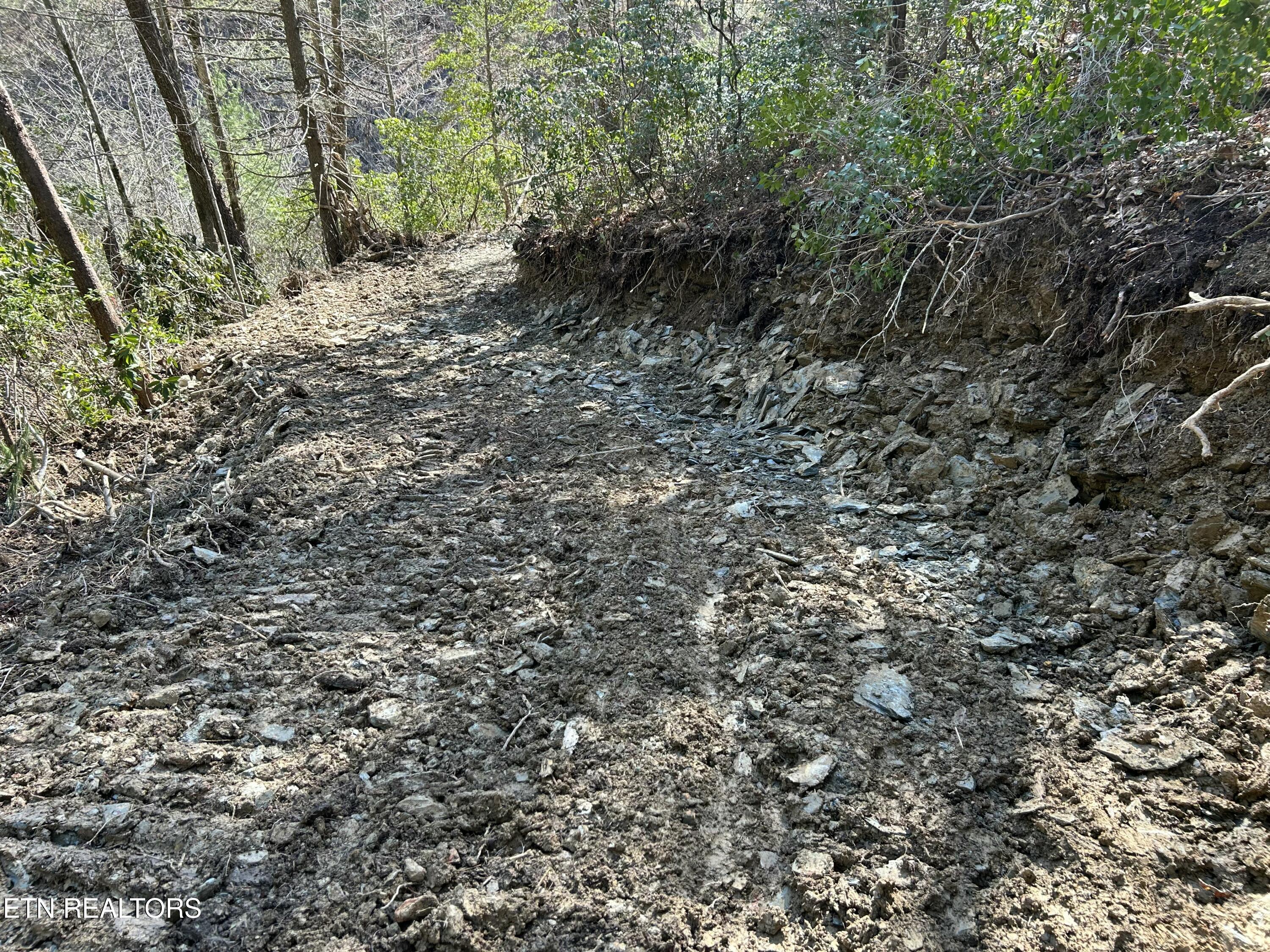 Mcjunkin Road Tellico Plains, TN 37385 - Photo 6 of 23 IMG_20260306_112452 (5)