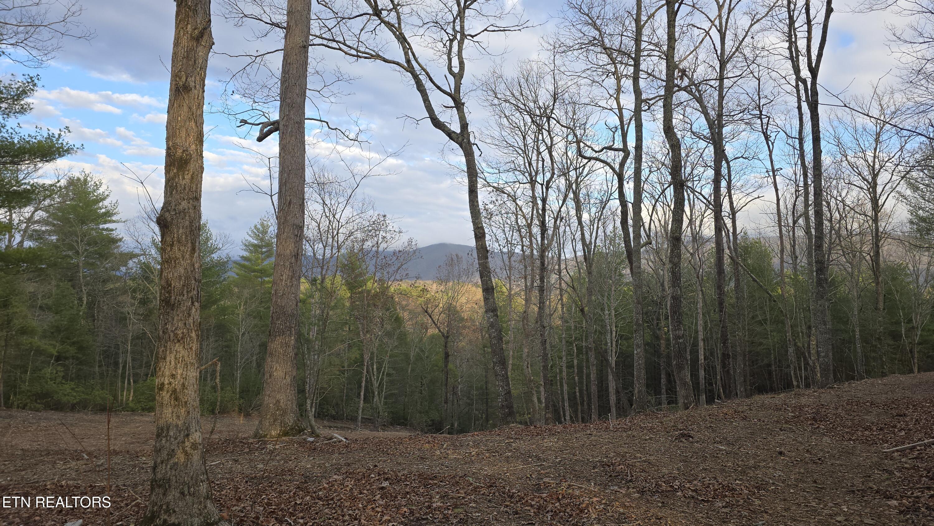 Mcjunkin Road Tellico Plains, TN 37385 - Photo 9 of 23 20260310_185114