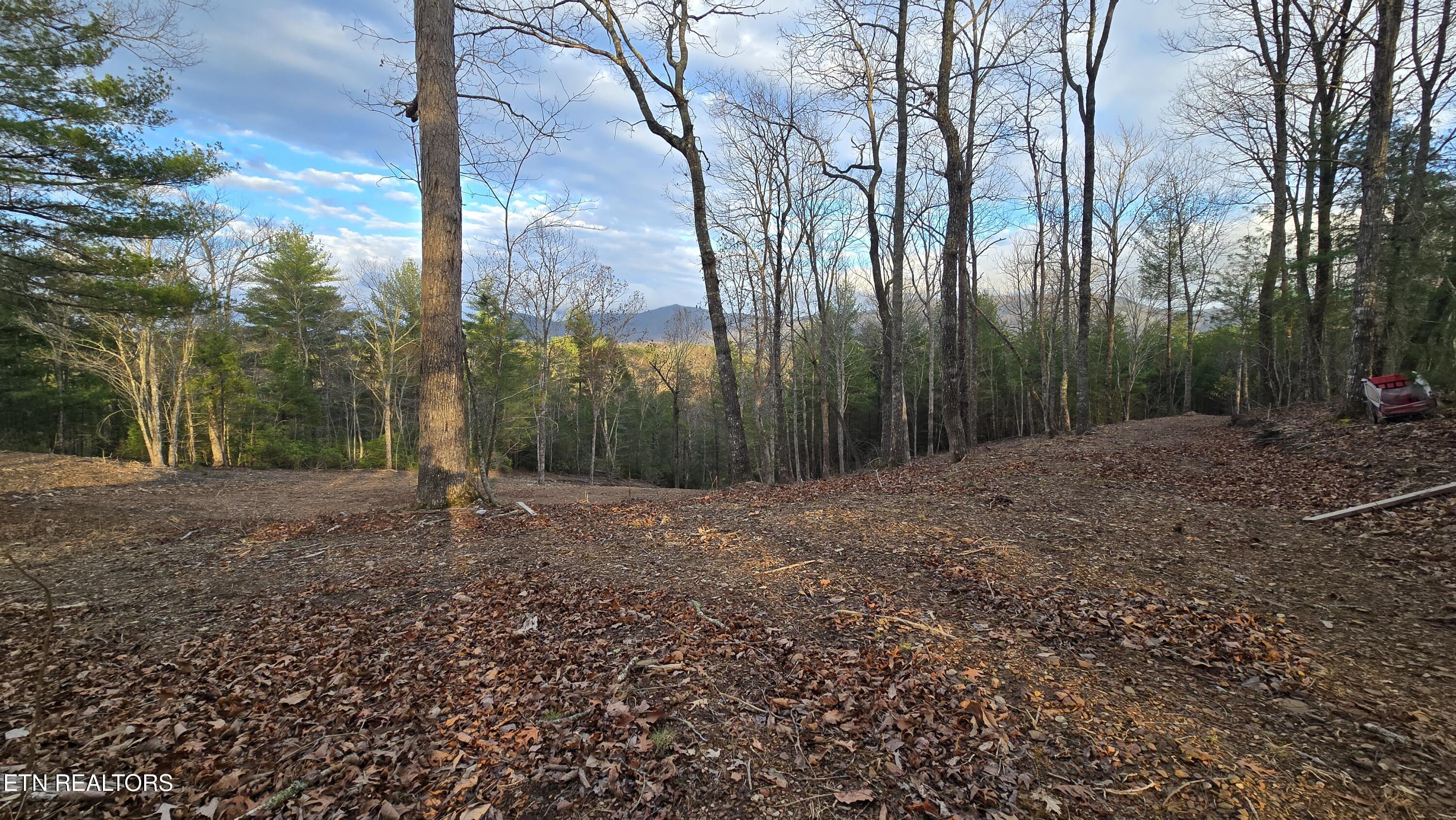 Mcjunkin Road Tellico Plains, TN 37385 - Photo 10 of 23 20260310_185200
