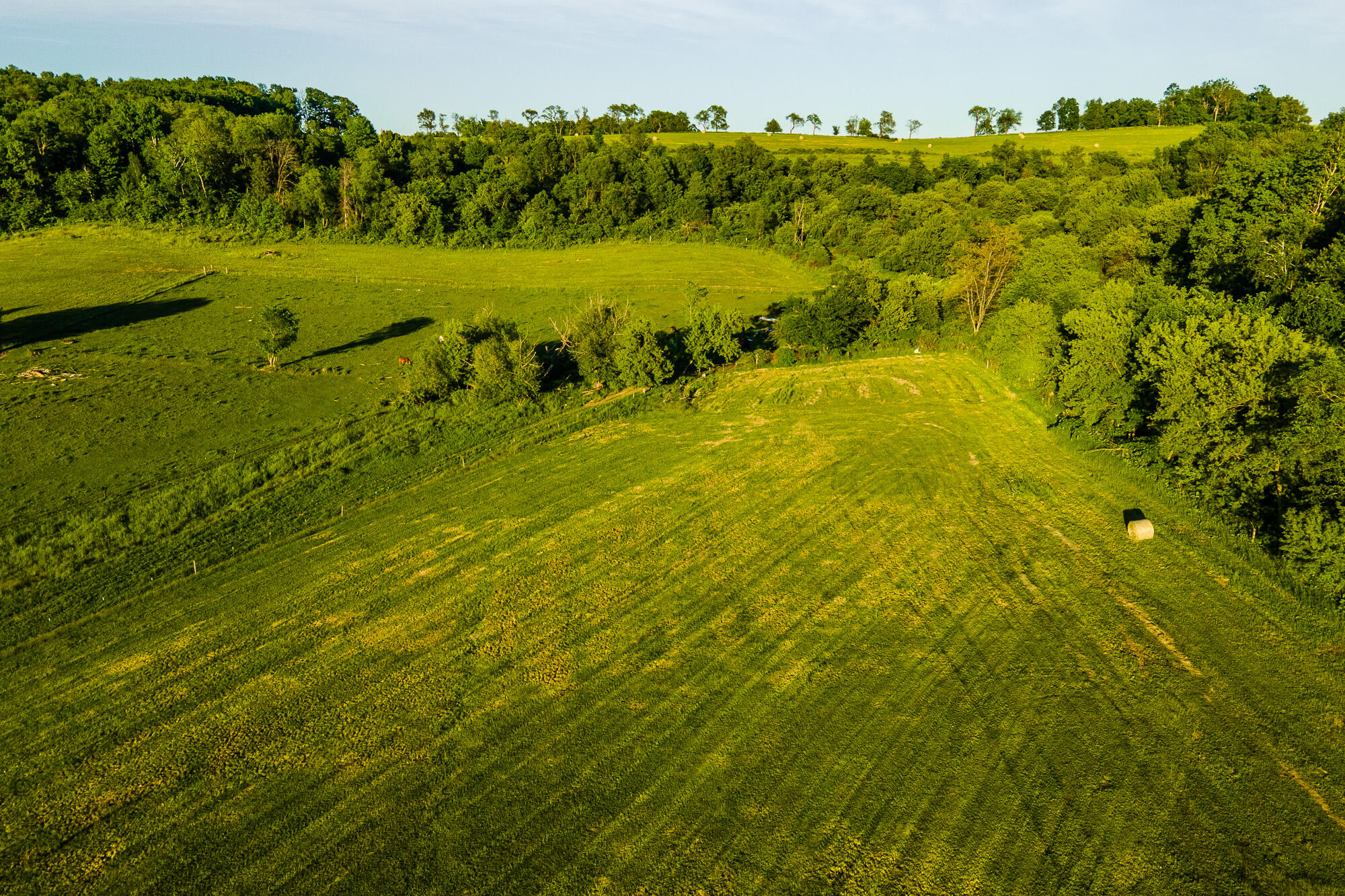 Lt1 Eli Valley Road Loganville, WI 53943 - Photo 11 of 66 Sauk-County-WI-90-Acres-Land-For-Sale-Su