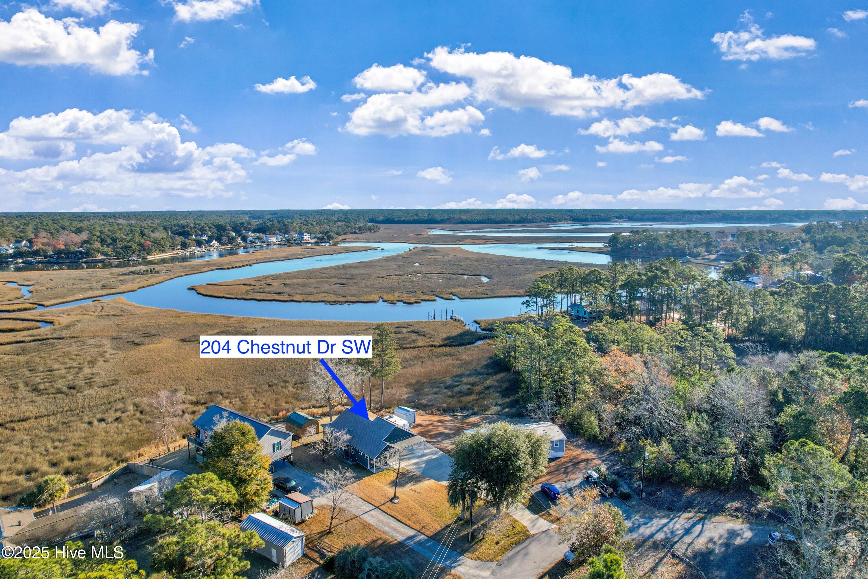 204 Chestnut Drive Southwest Supply, NC 28462 - Photo 29 of 42 204ChestnutDrSW - 33