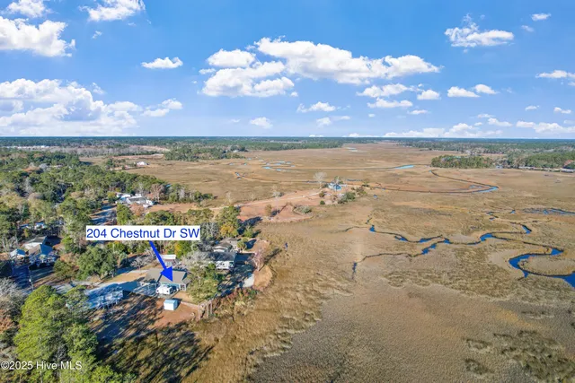 $410,000 | 204 Chestnut Drive Southwest, Supply, NC 28462