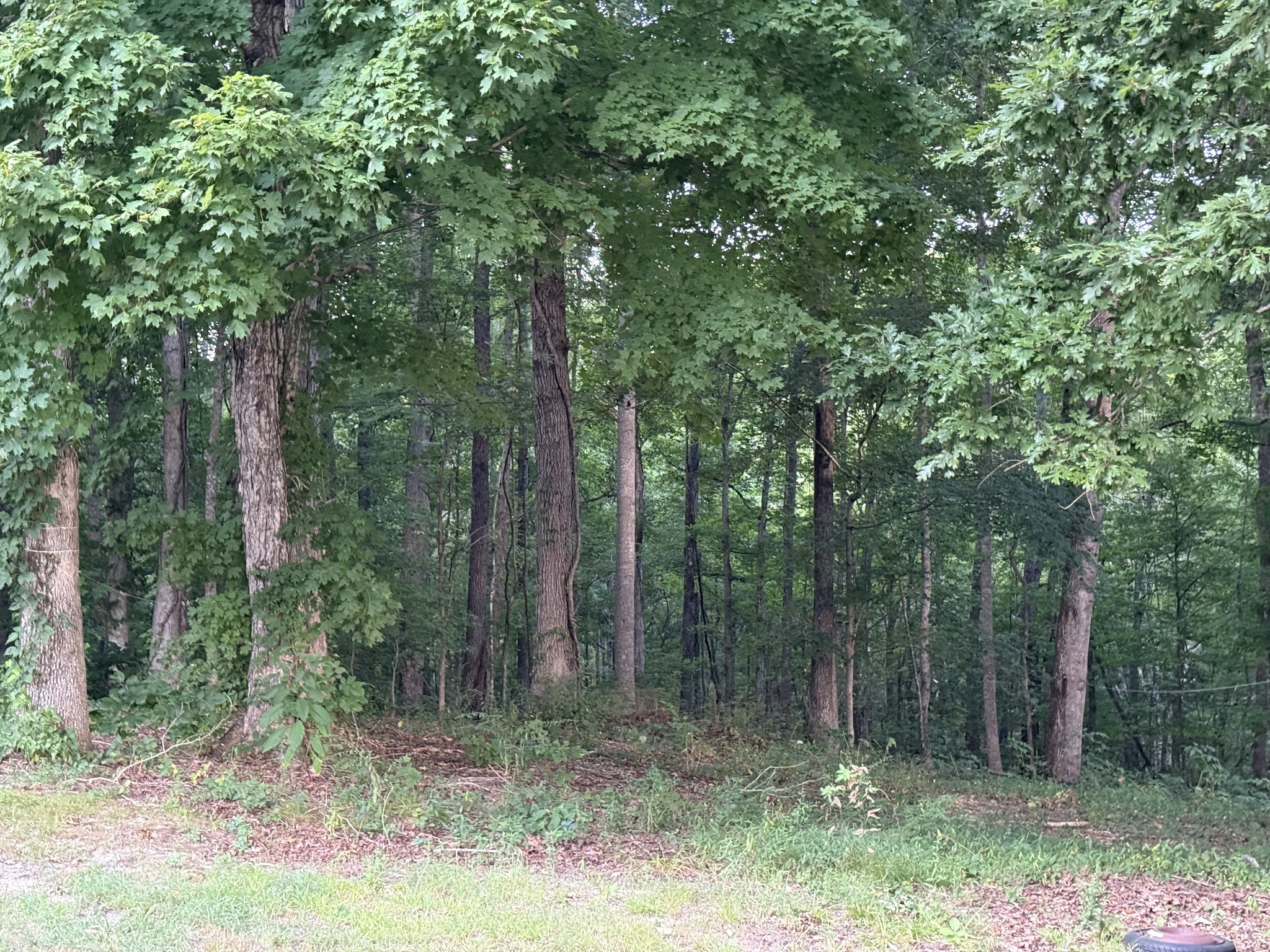 3840 East Beaverdam Road Centerville, TN 37033 - Photo 11 of 29 Gallery Image 11