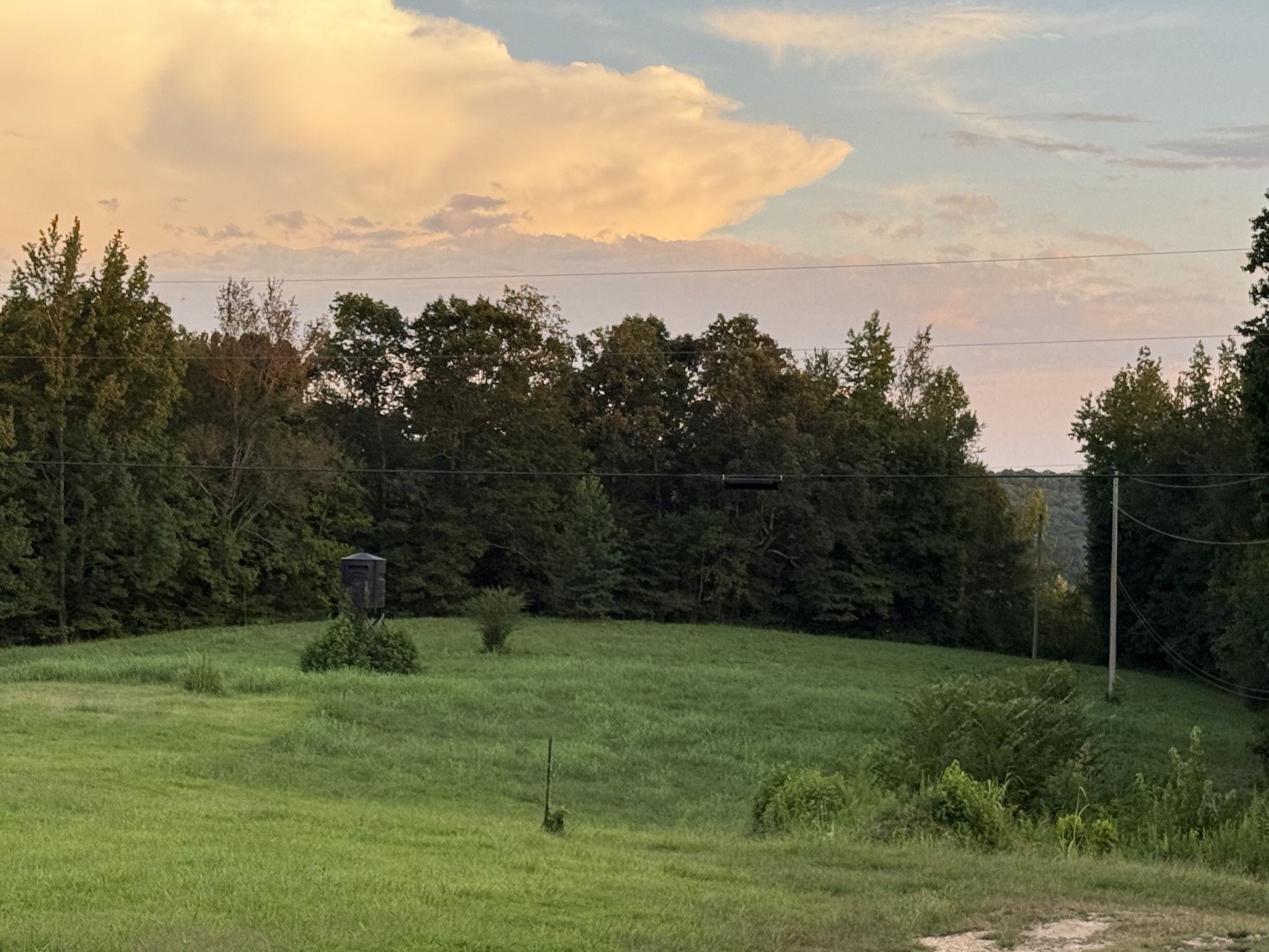 3840 East Beaverdam Road Centerville, TN 37033 - Photo 13 of 29 Gallery Image 13