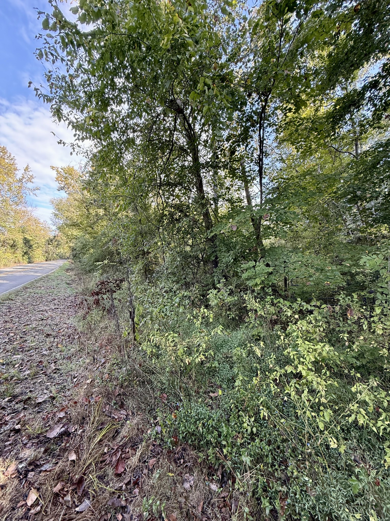 3840 East Beaverdam Road Centerville, TN 37033 - Photo 18 of 29 Gallery Image 18