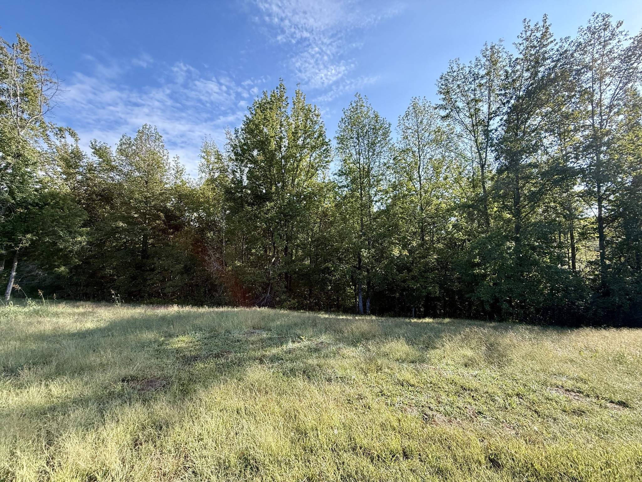 3840 East Beaverdam Road Centerville, TN 37033 - Photo 22 of 29 Gallery Image 22