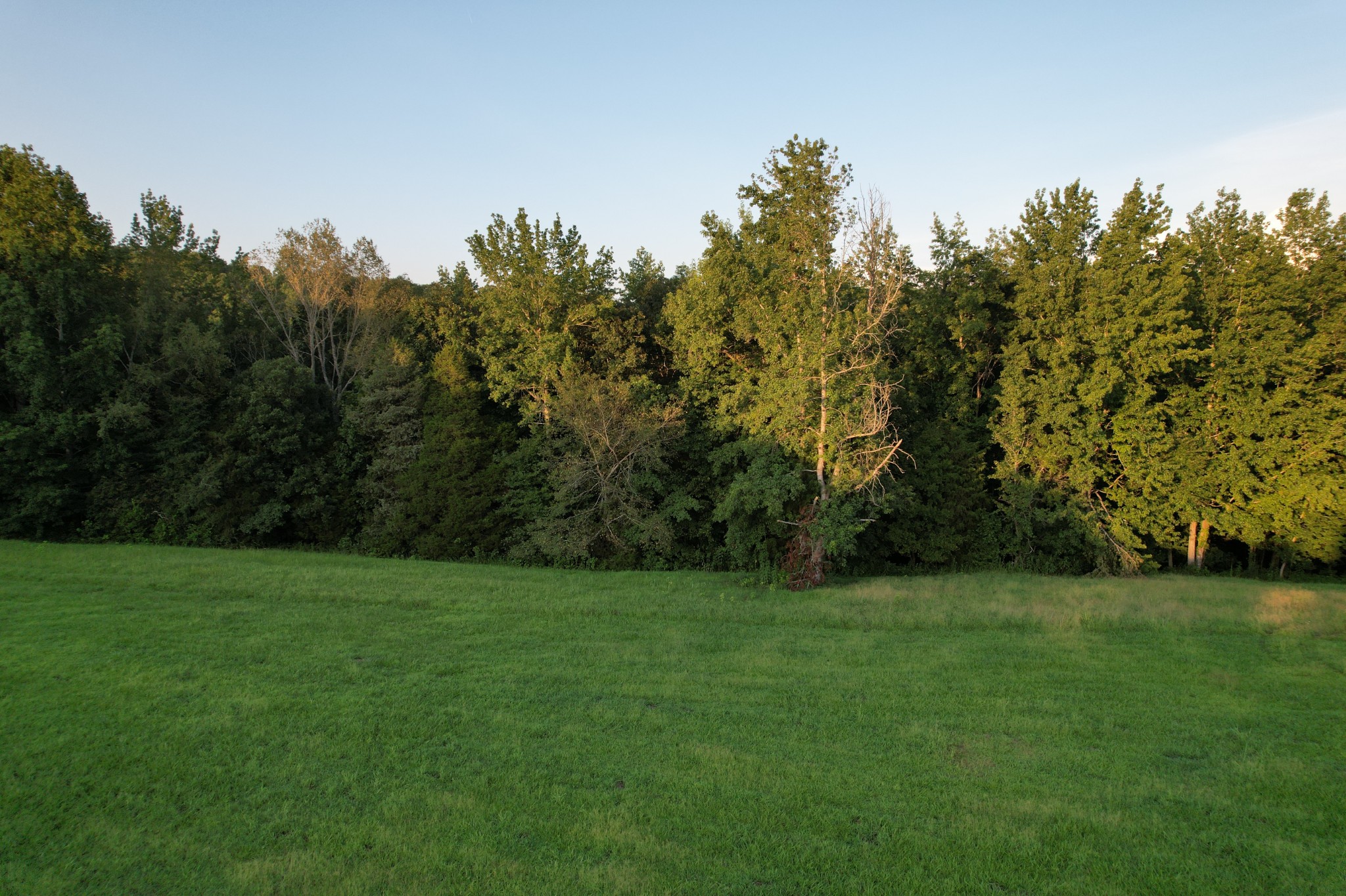 3840 East Beaverdam Road Centerville, TN 37033 - Photo 9 of 29 Gallery Image 9