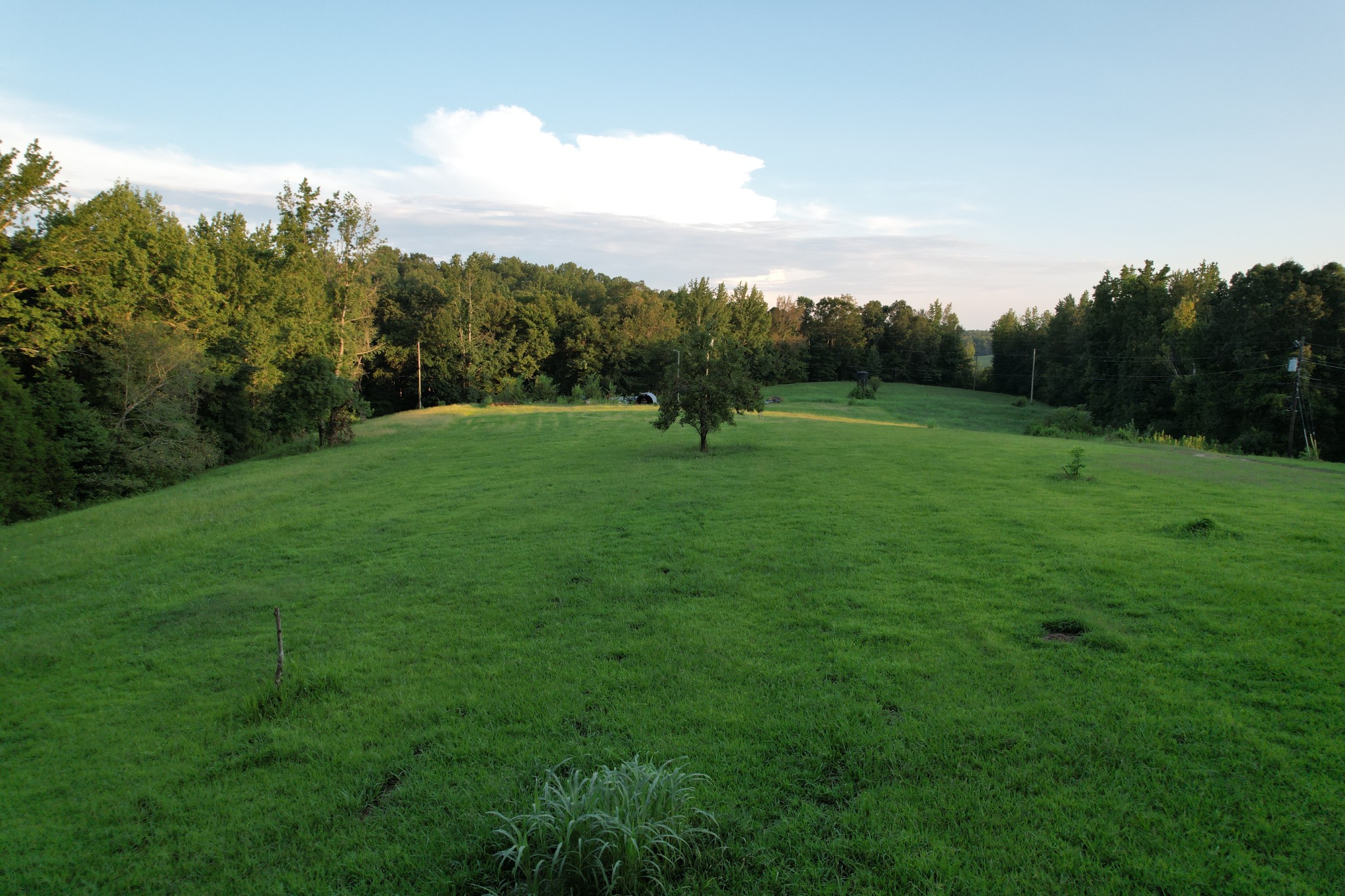 3840 East Beaverdam Road Centerville, TN 37033 - Photo 10 of 29 Gallery Image 10