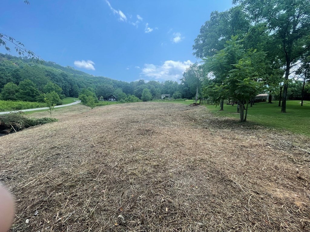 5 Little Cove Road Sevierville, TN 37862 - Photo 9 of 15
