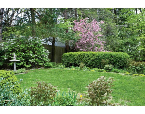 34 Spooner Road Brookline, MA 02467 - Photo 8 of 9 a view of a garden