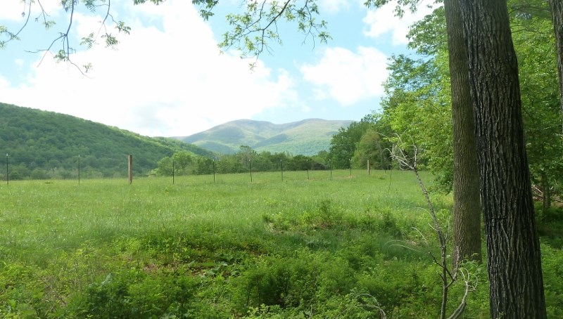 0 Fox Hollow Road Afton, VA 22920 - Photo 10 of 12 Gallery Image 10
