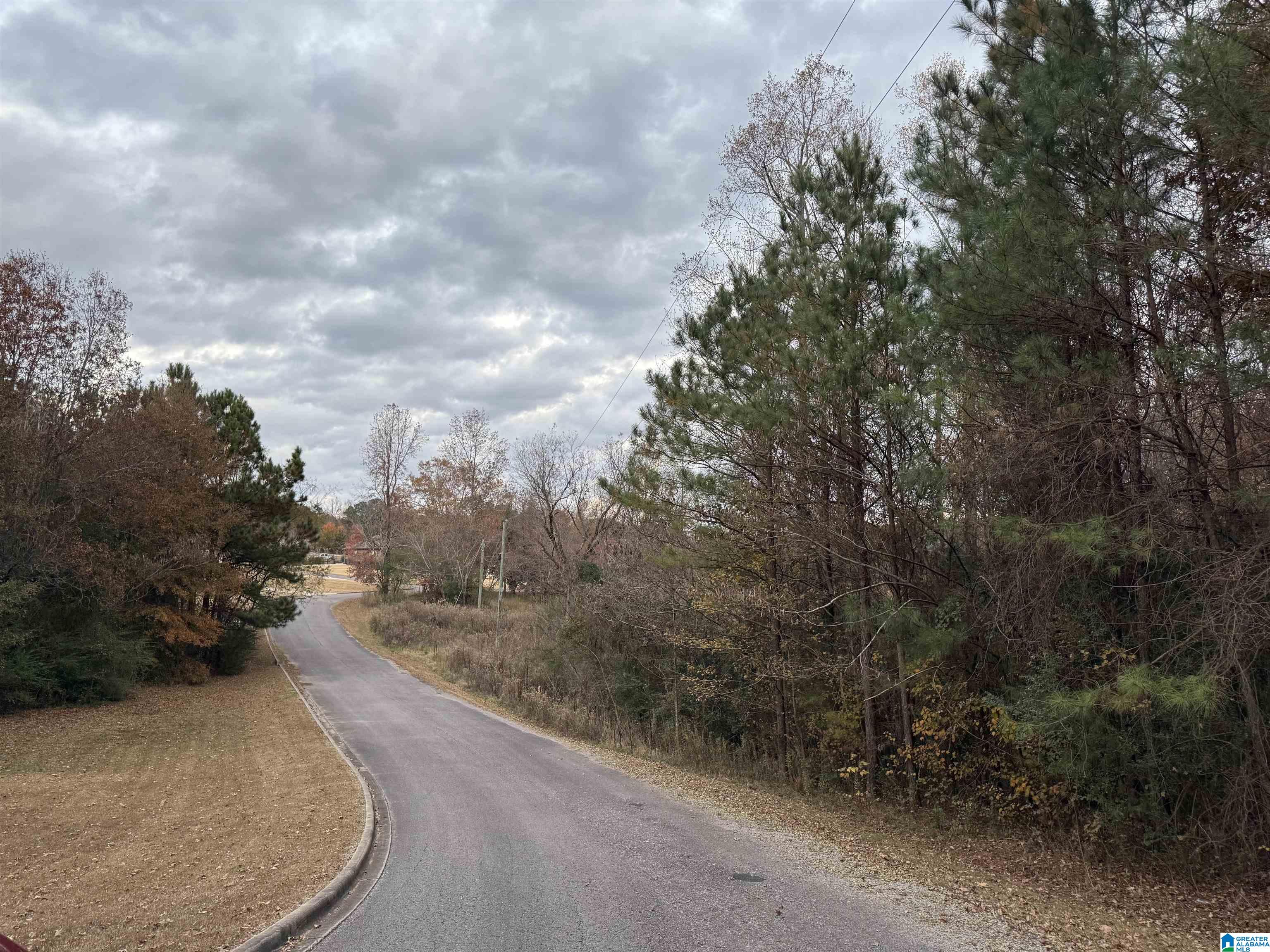 1 Spring Cove Road, Unit 1 Warrior, AL 35180 - Photo 5 of 5