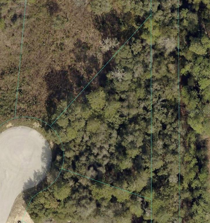 Southwest 98th Place Ocala, FL 34476 - Photo 2 of 6