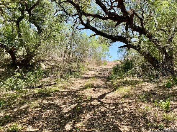 $129,900 | Tract 2 West King Lane, Normanna, TX 78142