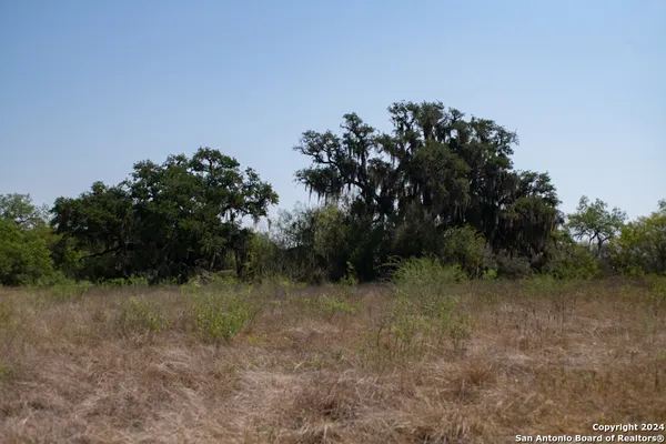 $129,900 | Tract 2 West King Lane, Normanna, TX 78142