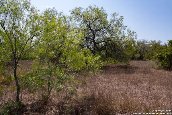 $129,900 | Tract 2 West King Lane, Normanna, TX 78142